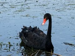 -昆山城市生态森林公园