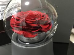 -ROSEONLY诺誓(国际广场购物中心店)