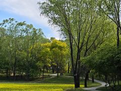 -北坞公园