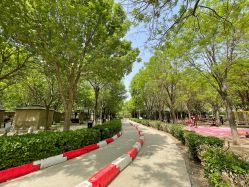 -优沃得自然教育农场·冰雪乐园·生日会·研学