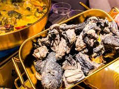 -Darling Queen·Mini·Live·House