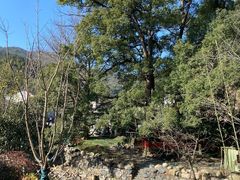 -石台牯牛降景区