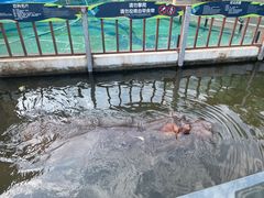 -灵玲国际马戏城