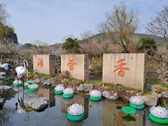 -香雪海