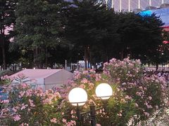 -广州塔