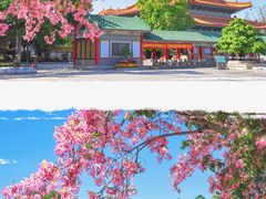 -广东圆玄道观