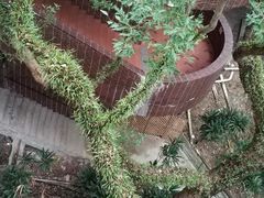 -香港大学