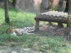 -杭州野生动物世界