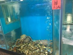 -海大大蒸汽海鲜餐厅·粤菜·特色小炒(欢乐颂店)