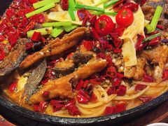 -老板恋上鱼(恒隆广场店)