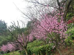 -阿哈湖国家湿地公园