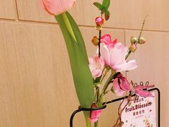 -哈根达斯(朝阳大悦城店)