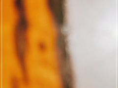 -味千拉面(惠州文昌一路分店)