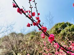 -黄公望隐居地