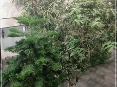 -滕头生态酒店(奉化店)