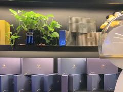 -梵猫·新养生(加州广场店)
