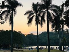 -深圳仙湖植物园