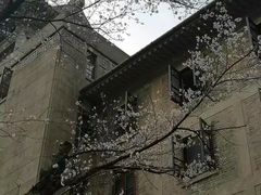 -武汉大学-樱园