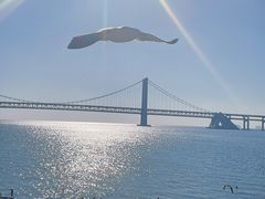 -星海广场