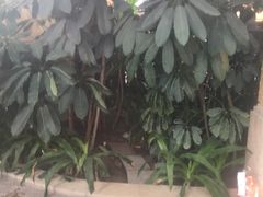 -国信南山温泉