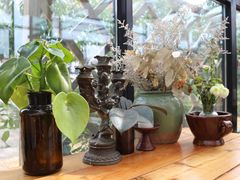 -北马山庄植趣咖啡