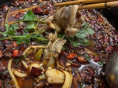 -鸿顺老铁锅美蛙鱼府(解放碑店)