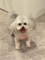 -LEILEI NAIL蕾蕾美甲美睫