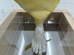 -胶囊画廊