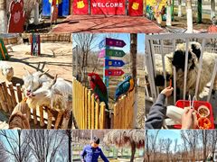 -水上乐园·欢乐世界