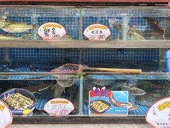 -天鲜阁·海鲜粤菜·33年老字号(石槎白云站店)