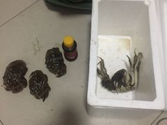 -喜洋洋蟹庄(阳澄湖店)