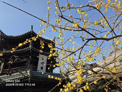 -西安化觉巷清真大寺