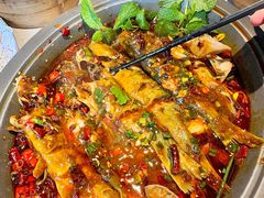 -黔渔翁豆花渎鱼(喷水池店)