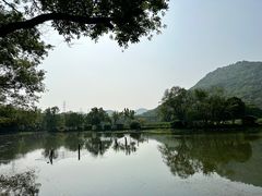 -八卦田遗址公园