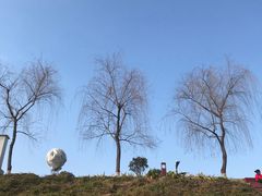 -洨河生态公园