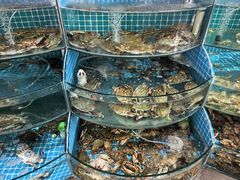 -蓝珊甄选海鲜自助·火锅大排档(近阿那亚店)