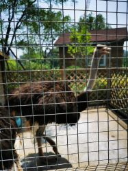 -萌宠亲子动物乐园(槐房万达店)