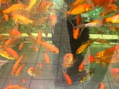 -大润发(花雨店)