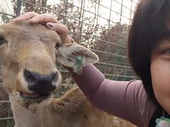 -北京麋鹿生态实验中心