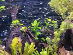 -上海海洋水族馆