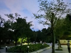 -阿哈湖国家湿地公园