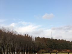 -汇泉广场