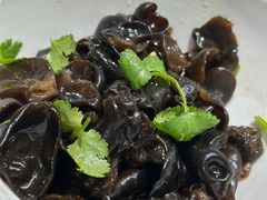 -老绍兴养和饭店(向阳不夜城店)
