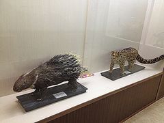 -下渚湖国家湿地公园科普馆