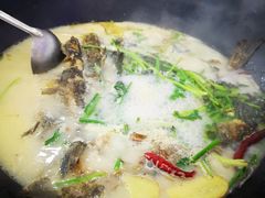 -岩泊渡桂鱼楼活鱼馆