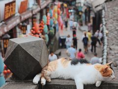 -磁器口古镇