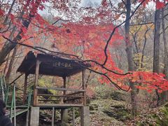-关门山森林公园