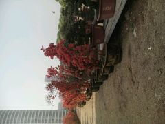 -华雅花园大酒店