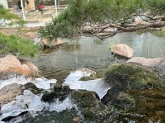 -罗红摄影艺术馆