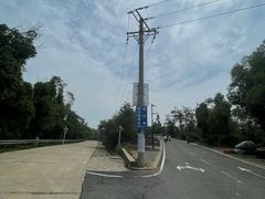 -青龙山国家森林公园